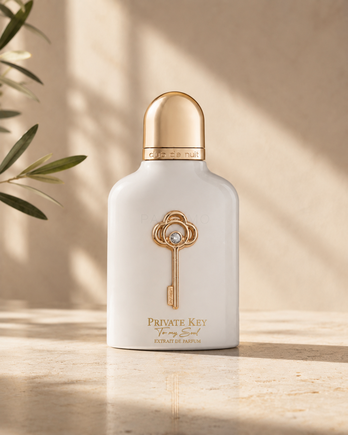 Private Key To My Soul Club De Nuit - Armaf - immagine 4