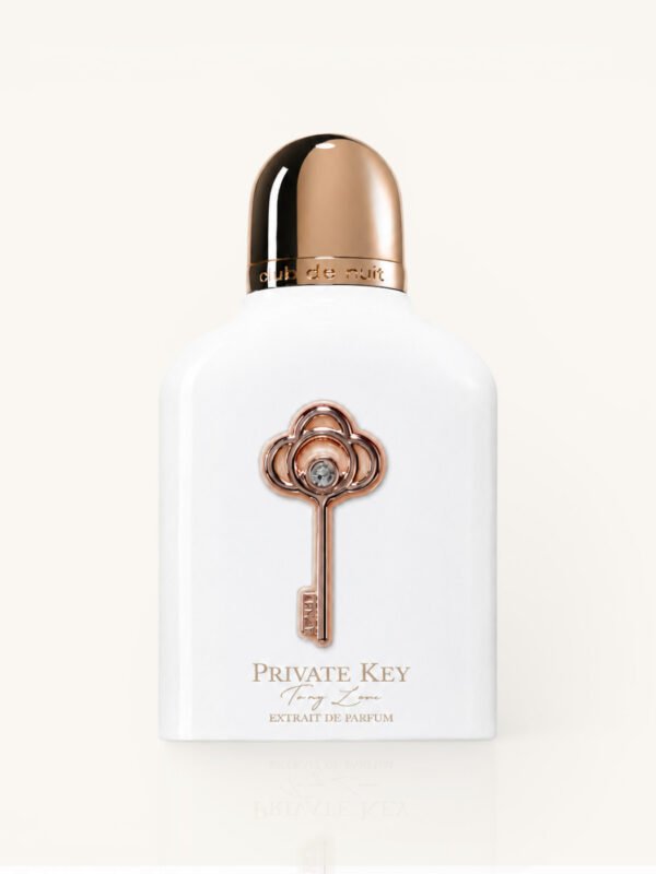 Private Key To My Soul Club De Nuit - Armaf